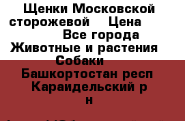 Щенки Московской сторожевой  › Цена ­ 25 000 - Все города Животные и растения » Собаки   . Башкортостан респ.,Караидельский р-н